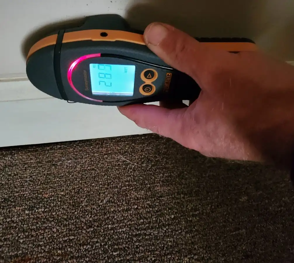 Moisture detection at baseboard during Mold Inspection & Testing in Post Falls
